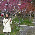 DSCN1390