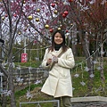 DSCN1391