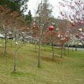 DSCN1393