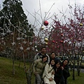 DSCN1398