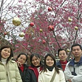 DSCN1399