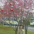 DSCN1400