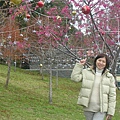 DSCN1401