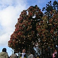 DSCN1402