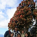 DSCN1404