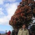DSCN1405