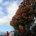 DSCN1406