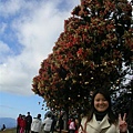 DSCN1407