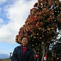 DSCN1408