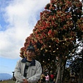 DSCN1409