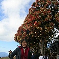 DSCN1410