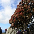 DSCN1411
