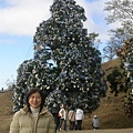 DSCN1419
