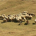 DSCN1427