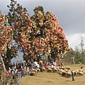 DSCN1429