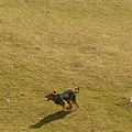 DSCN1432