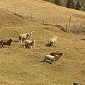 DSCN1435