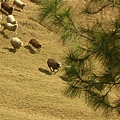 DSCN1436