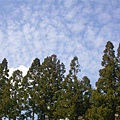 DSCN1219