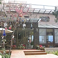 DSCN1226