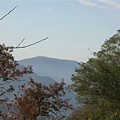 DSCN1229