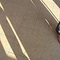 DSCN1249