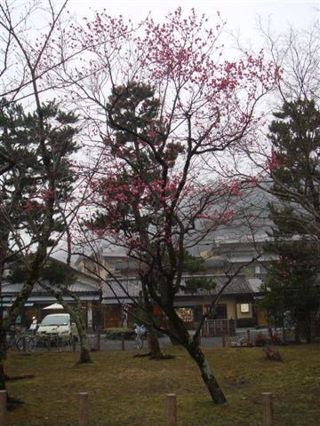 DSC03193.JPG