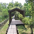 IMG_0037.JPG