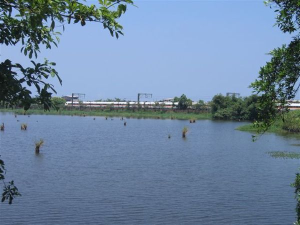 IMG_0040.JPG