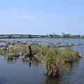 IMG_0045.JPG