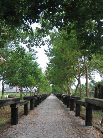IMG_0060.JPG