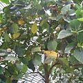 IMG_0061.JPG