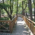 IMG_0028.JPG