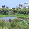 IMG_0029.JPG