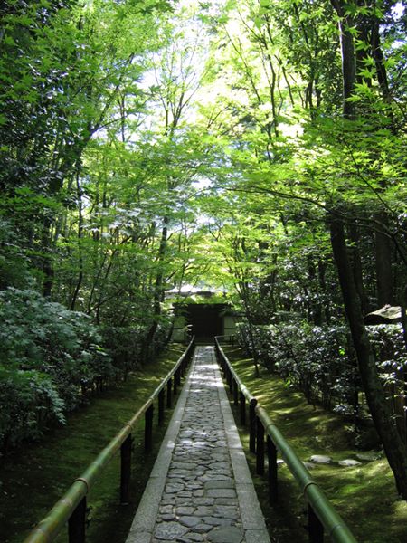 大德寺高桐院10.jpg