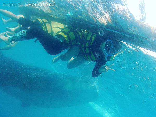 0156a94e55eb41fbbe7d9e6b264aa8ba.jpg 0156a94e55eb41fbbe7d9e6b264aa8ba.jpg