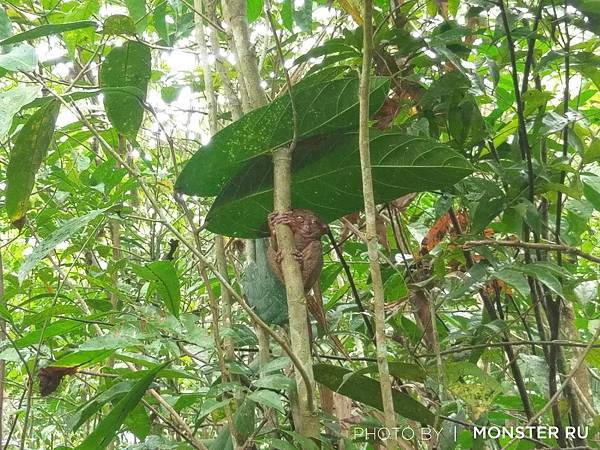 f091a11d46154d96b679df38fd55285d.jpg f091a11d46154d96b679df38fd55285d.jpg