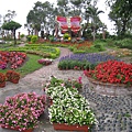 鬱金香花園2.JPG