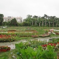 鬱金香花園9.JPG