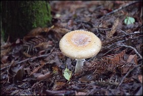 DSC_0259_resize DSC_0259_resize