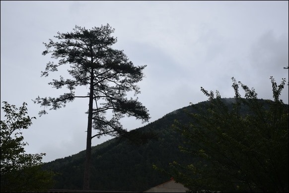 DSC_0286_resize DSC_0286_resize