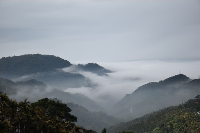 往阿里山一路上看到的美景 往阿里山一路上看到的美景