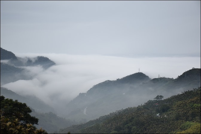 往阿里山一路上看到的美景 往阿里山一路上看到的美景