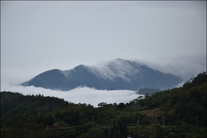 往阿里山一路上看到的美景 往阿里山一路上看到的美景