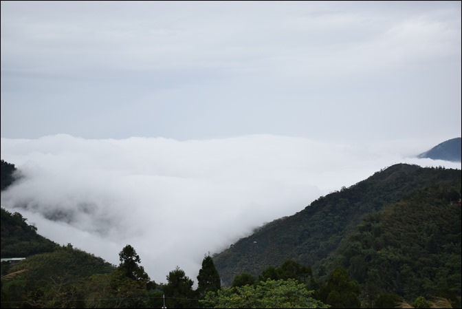 往阿里山一路上看到的美景 往阿里山一路上看到的美景