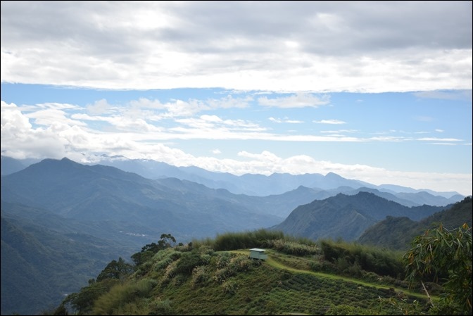 往阿里山一路上看到的美景 往阿里山一路上看到的美景