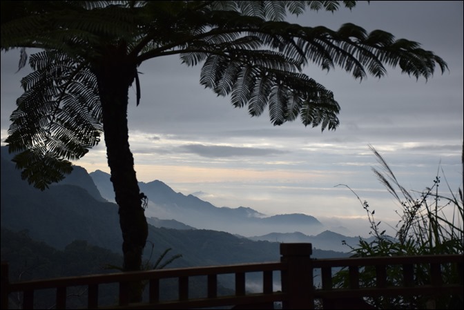 往阿里山一路上看到的美景 往阿里山一路上看到的美景