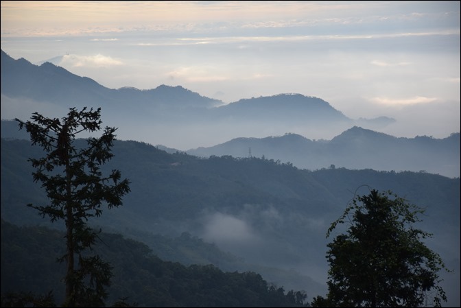 往阿里山一路上看到的美景 往阿里山一路上看到的美景