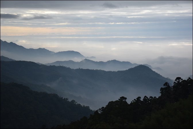 往阿里山一路上看到的美景 往阿里山一路上看到的美景
