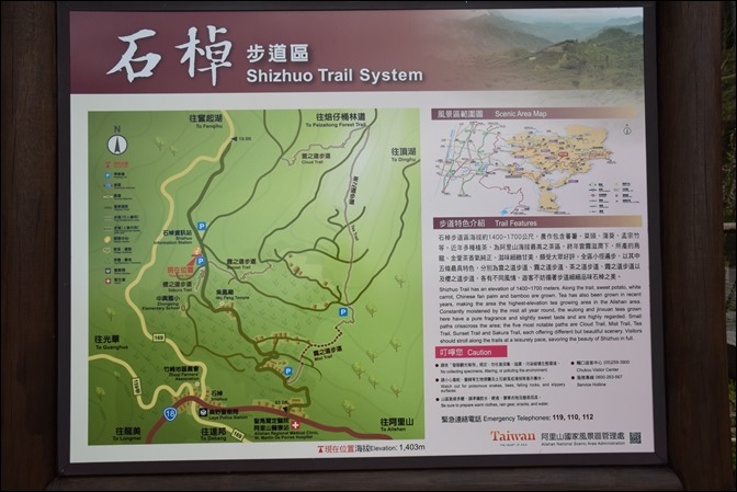 頂石棹櫻之道:走步道、賞櫻、看雲海 頂石棹櫻之道:走步道、賞櫻、看雲海